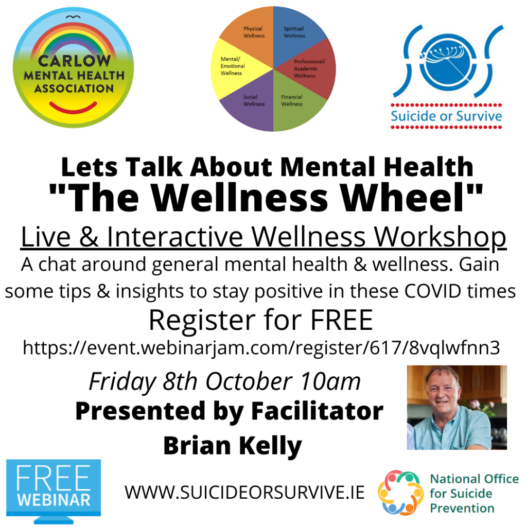 Wellness Wheel webinar with Brian Kelly
